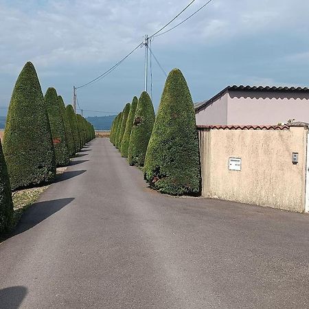 Charmante Maison Avec Piscine Anneyron Екстериор снимка