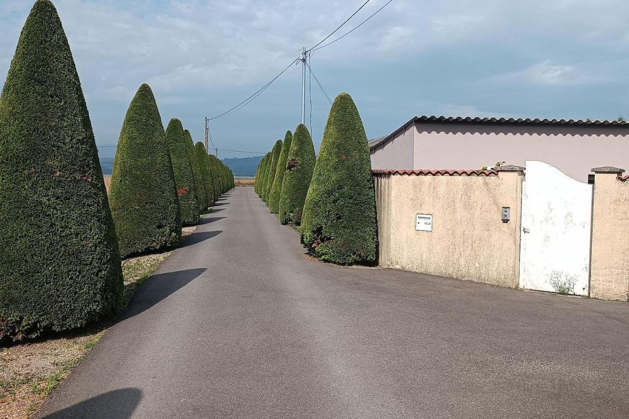 Charmante Maison Avec Piscine Anneyron Екстериор снимка